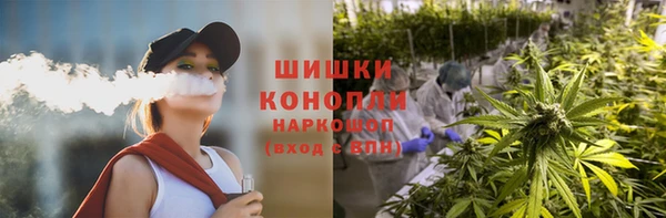 ГАЛЛЮЦИНОГЕННЫЕ ГРИБЫ Арсеньев