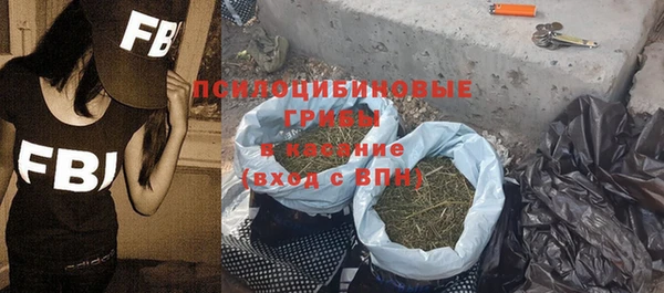 ГАЛЛЮЦИНОГЕННЫЕ ГРИБЫ Арсеньев