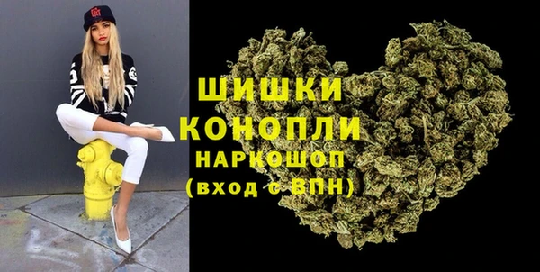 ГАЛЛЮЦИНОГЕННЫЕ ГРИБЫ Арсеньев