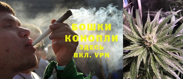 ГАЛЛЮЦИНОГЕННЫЕ ГРИБЫ Арсеньев