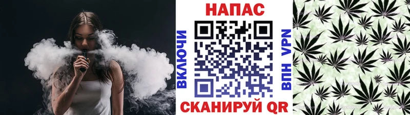 МАРИХУАНА ГИДРОПОН хочу Голицыно